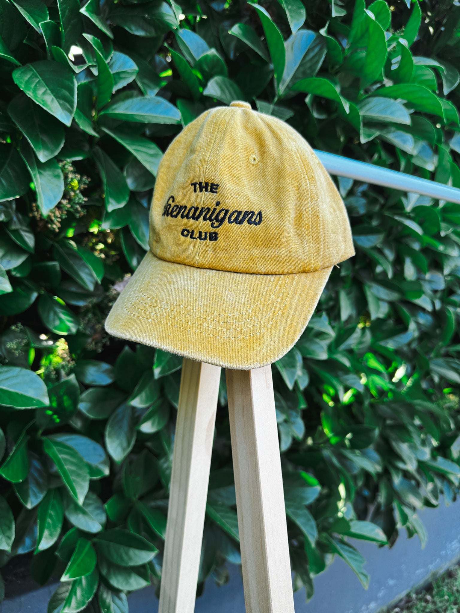 Shenanigans Club Cap